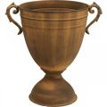 Floristik24 Plantepotte rust look kopp vase metall Ø22,5cm H32,5cm