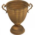 Plantepotte rust look kopp vase metall Ø22,5cm H32,5cm | Floristik24.no