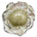 Floristik24 Roseblomst for planting, begravelsesblomster, steinerose, betongdekorasjon grå, aprikos, fiolett Ø11cm L22cm H9cm