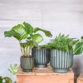 Floristik24 Plantekrukke, keramikkkar, korrugert plantekasse grønn, brun Ø11,5cm H12,5cm