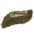 Floristik24 Plant Wave Vines liten planteskål med mose 31 × 15 × 7 cm