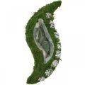 Floristik24 Plantemose og kjegler bølger grønt, vasket hvitt 41 × 15cm