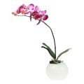 Floristik24 Kunstige orkideer i potte Phalaenopsis kunstige blomster orkideer rosa 34cm