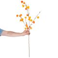 Kunstig kinesisk lanterneplante, Physalis-gren med blomster, 95 cm | Floristik24.no