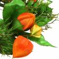 Kunstig Physalis-krans, oransje og grønn, Ø28 cm, høstdekorasjon | Floristik24.no