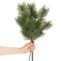 Kunstig furukvist som dekorativ grangren, 55 cm, 3 stk. | Floristik24.no
