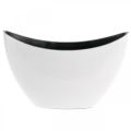 Floristik24 Dekorativ skål, oval, hvit, sort, plantebåt i plast, 24cm