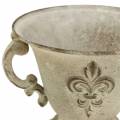 Floristik24 Trophy Bowl Vintage Cream Ø15cm H13,5cm