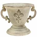 Floristik24 Trophy Bowl Vintage Cream Ø15cm H13,5cm
