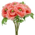 Floristik24 Ranunculus rose-rosa 27cm 8stk