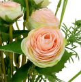 Floristik24 Ranunculus bukett rosa 43cm