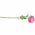 Floristik24 Ranunculus rosa kunstig 48cm