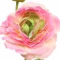 Floristik24 Ranunculus blomst og knopp kunstig rosa 34cm