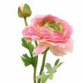 Floristik24 Ranunculus blomst og knopp kunstig rosa 34cm