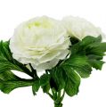 Floristik24 Ranunculus bukett hvit L18cm