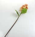 Floristik24 Panicle hortensia i korall, krem 74cm