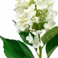 Floristik24 Panicle Hydrangea Krem Hvit Kunstig Hortensia Silkeblomst 98cm
