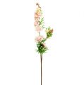 Floristik24 Larkspur Delphinium lys rosa L95cm