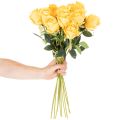 Kunstig rose med lang stilk, kunstig blomst, 62 cm, 12 stk. | Floristik24.no