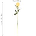 Kunstig rose med lang stilk, kunstig blomst, 62 cm, 12 stk. | Floristik24.no