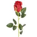 Floristik24 Kunstig rose med lang stilk, rød kunstig blomst, 62 cm, 12 stk.