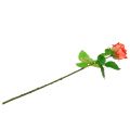 Floristik24 Rose kunstig blomsterlaks 67,5cm