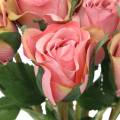 Floristik24 Rose gammel rose 42cm 12p