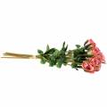 Floristik24 Rose gammel rose 42cm 12p
