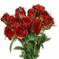 Floristik24 Rose rød 42cm 12stk
