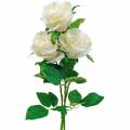 Floristik24 Hvit rose på stilk Silkeblomst kunstrose 3 stk