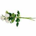 Floristik24 Hvit rose på stilk Silkeblomst kunstrose 3 stk
