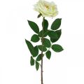 Floristik24 Kunstrose, dekorativ rose, silkeblomst kremhvit, grønn L72cm Ø12cm