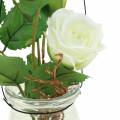 Floristik24 Rose i glasshvit H23cm