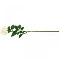 Floristik24 Silkeblomst, rose på stilk, kunstig plante kremhvit, rosa L72cm Ø13cm
