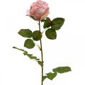 Floristik24 Deco rosa rosa, blomsterdekor, kunstrose L74cm Ø7cm