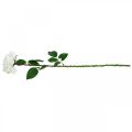 Floristik24 Hvit Rose Fake Rose på Stengel Silke Blomst Kunstig Rose L72cm Ø13cm