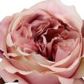 Floristik24 Rose hodekrem, rosa 17cm 4stk
