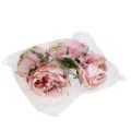 Floristik24 Rose hodekrem, rosa 17cm 4stk