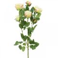 Floristik24 Rosegren, silkeroser, kunstig gren rosa, krem L66cm Ø3/5cm