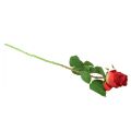 Floristik24 Rose Gren Silke Blomst Kunstig Rose Rød 72cm