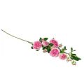 Floristik24 Rose gren silke roser kunstig gren roser rosa krem 79cm