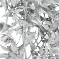 Floristik24 Ruscus kvister, slakterkost, tørr plante Hvitvasket L58cm 80g