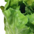 Floristik24 Salathode grønne dekorative salatmatdukker 14cm