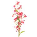 Floristik24 Kunstig blomstrende gren Oncidium orkide dekorasjon 112 cm 3 stk