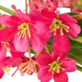 Kunstig blomstrende gren Oncidium orkide dekorasjon 112 cm 3 stk | Floristik24.no