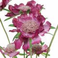 Floristik24 Scabious kunstig blomst rosa sommerblomst H64cm haug med 3stk