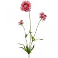 Floristik24 Kunstig blomsterdekorasjon, skabb kunstig blomst rosa 64cm bunt med 3 stk