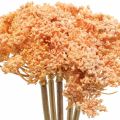 Floristik24 Ryllik kunstige kunstige blomster oransje 50cm 5stk i haug