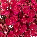 Kunstig blomsterkrans, babypustdekorasjon, 30 cm | Floristik24.no
