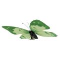 Floristik24 Sommerfuglgrønn på klips 10cm - 11cm 6stk